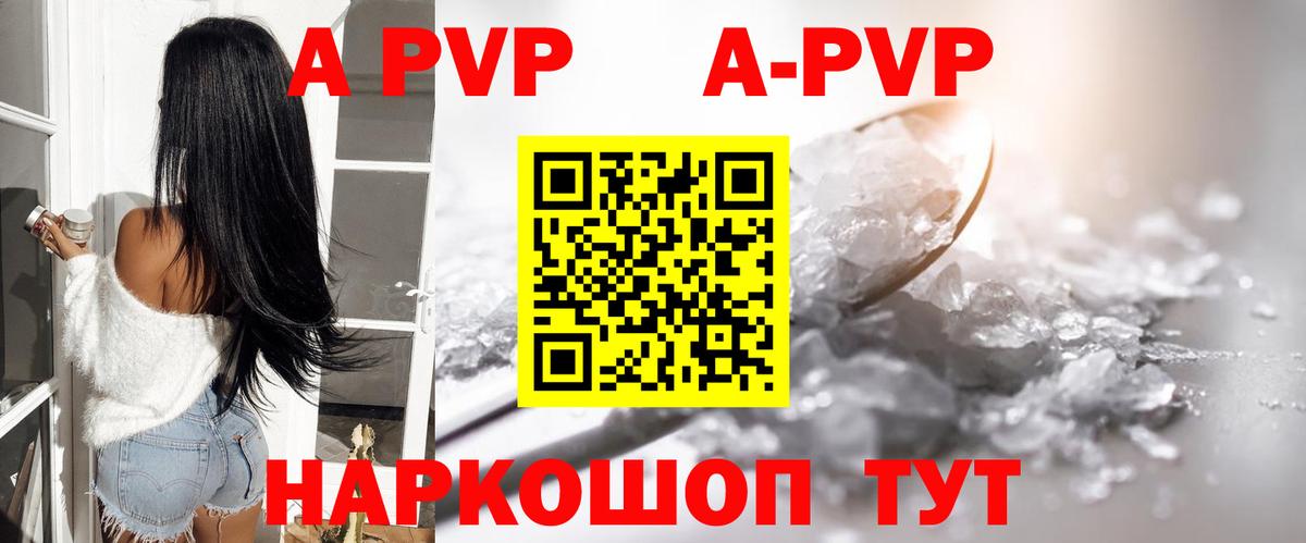 Alfa_PVP СК Пенза