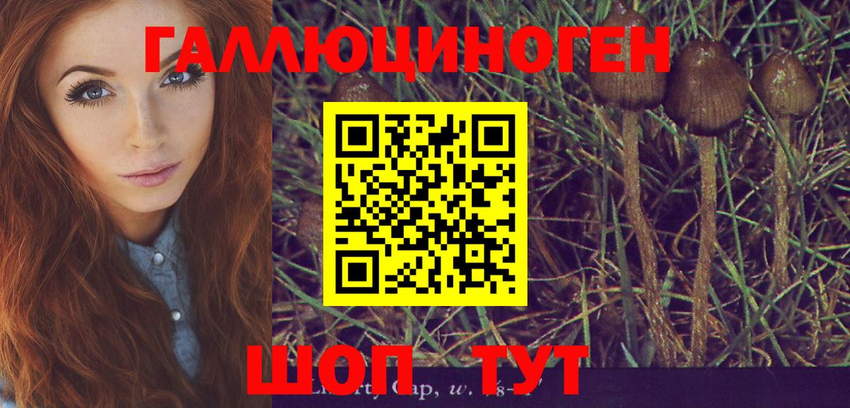 Псилоцибиновые грибы прущие грибы  Вход с VPN  Пенза 